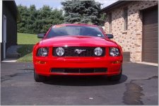 mustang6.jpg