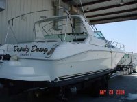 searay410.jpg
