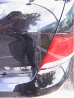 realsmallaut_0007.jpg