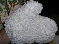dscn5952.jpg