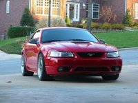 cobra bumper 5.jpg