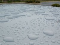 big drops 1 resized.jpg