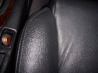 100_0385leather.jpg