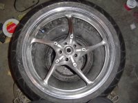 rim1.jpg