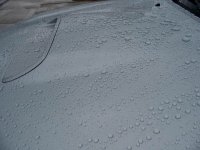 water beading..jpg