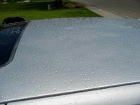 roof reflections 440.jpg