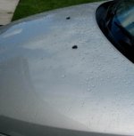 hood, reflections.jpg