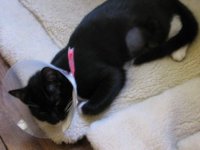tn_img_0034.jpg