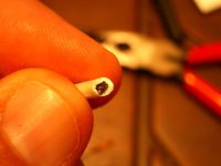 picture 008 (small).jpg