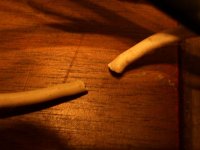 picture 007 (small).jpg