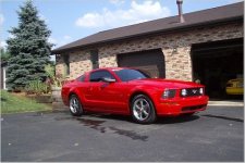mustang5.jpg