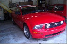 mustang2.jpg