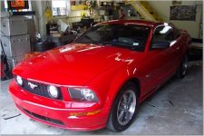 mustang1.jpg