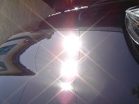 dsc00049.jpg