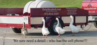 ducksdetail.jpg