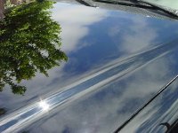 dsc02372.jpg