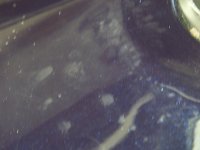 pict0008.jpg