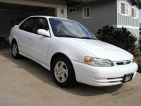 corolla_5.jpg