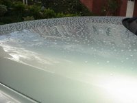 raindrops2.jpg