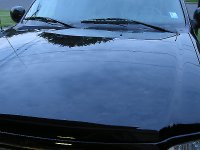 hood shot.jpg
