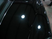 tiburon9_13_5_04 bis.jpg