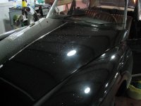tiburon4_13_5_04 bis .jpg