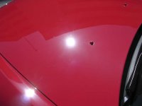 hondahoodmid.jpg