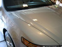 img_0550.jpg