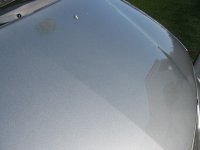 img_0314.jpg