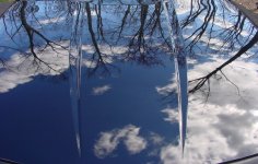 copy of dsc03150.jpg