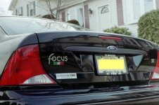 focus back7.jpg
