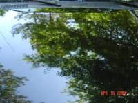 dsc00119.jpg
