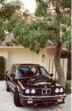433e30b.jpg