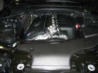 picture 234.jpg