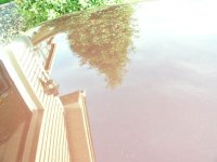 hood reflection before clay_sm.jpg