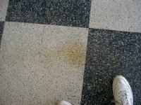 Tire Stain Resized.JPG