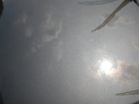 DSCN0677.JPG
