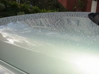 raindrops resized.jpg