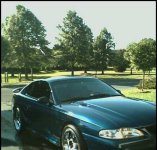 mustang1.jpg