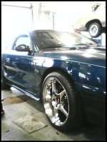 mustang2.jpg