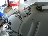 DSC00428b.jpg