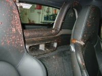 inside-rear.jpg