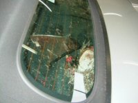 rear-windscreen.jpg