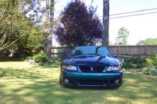 DCP_1584 (Custom).JPG