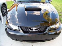 mustang2ndcoat 008.JPG