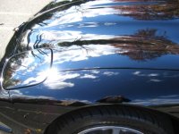 optimum polish and wax.JPG