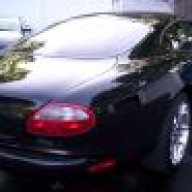 Paintxpert
