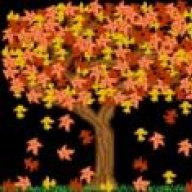 WoodyAutumn