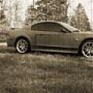 stang03