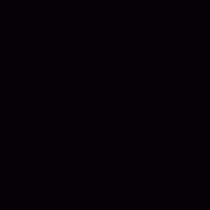 ShineProDetails